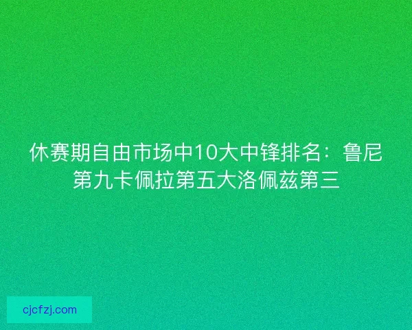休赛期自由市场中10大中锋排名:鲁尼第九卡佩拉第五大洛佩兹第三 休赛期自由市场中10大中锋排名:鲁尼第九卡佩拉第五大洛佩兹第三