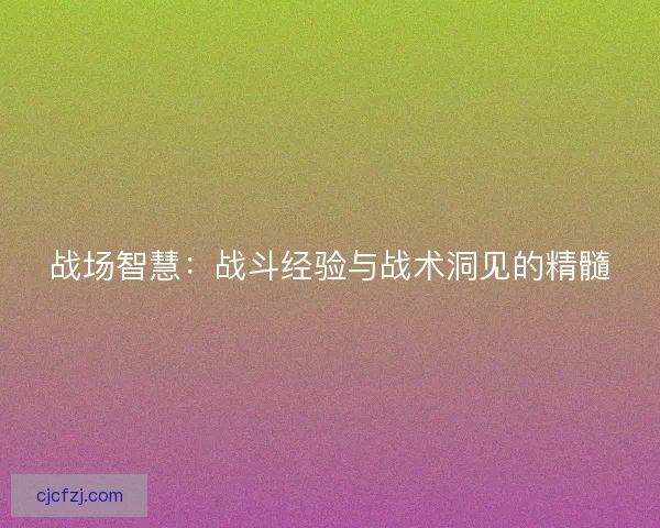 战场智慧：战斗经验与战术洞见的精髓