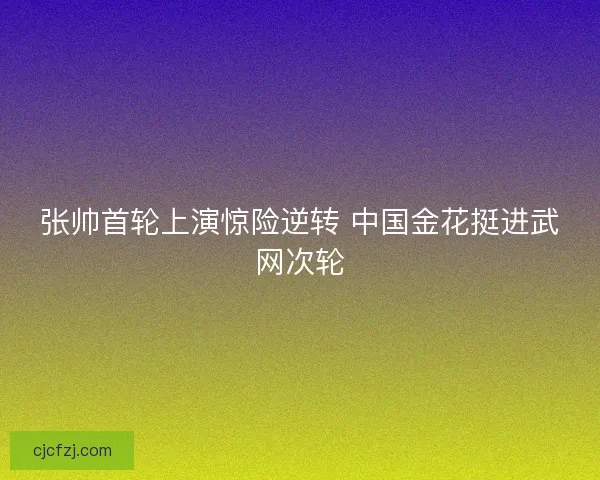 张帅首轮上演惊险逆转 中国金花挺进武网次轮
