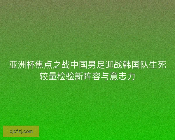 亚洲杯焦点之战中国男足迎战韩国队生死较量检验新阵容与意志力