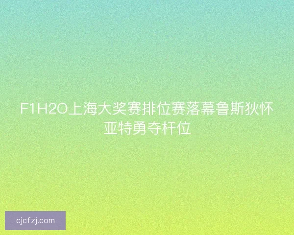 F1H2O上海大奖赛排位赛落幕鲁斯狄怀亚特勇夺杆位